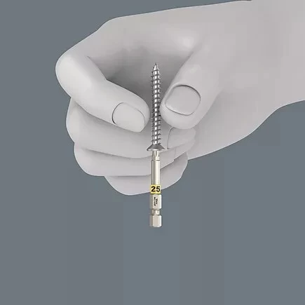 Etui 6 Embouts Torx® Wood Wera 2 Etui 6 Embouts Torx® Wood Wera – Image 2