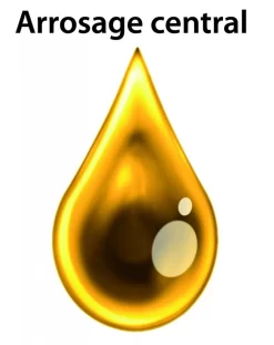 Fraisage : Fraise Grande Avance Pour Plaquette SDMS Et SDES -Outil De Maison Boutique SET 29345