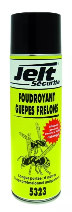 Foudroyant GuĂȘpes Et Frelons ITW Spraytec