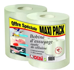 Essuyage Et Absorbant : Essuie-tout 2 Plis