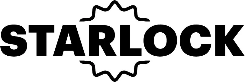 Fein Lame Bois / Matériaux - Starlock 3 Fein Lame Bois / Matériaux - Starlock – Image 3