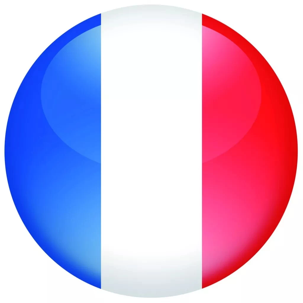 FACOM Ensemble De Pinces : Jeu De 2 Pinces 2 FACOM Ensemble De Pinces : Jeu De 2 Pinces â Image 2