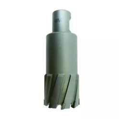 Fraise à Carotter à Pastille Carbure Queue Weldon - 2 Méplats