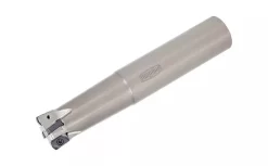 Fraises Dofeed - Queue Cylindrique