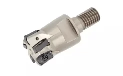 Fraises Dofeed - Queue Filetée